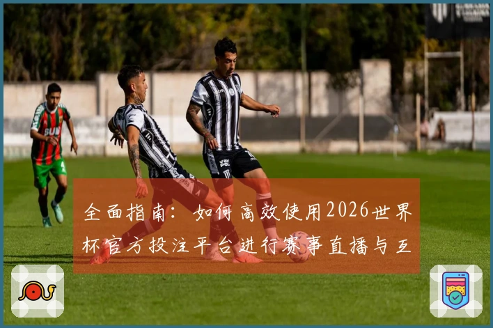 全面指南：如何高效使用2026世界杯官方投注平台进行赛事直播与互动体验