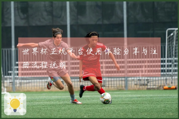 世界杯正规平台使用体验分享与注册流程说明