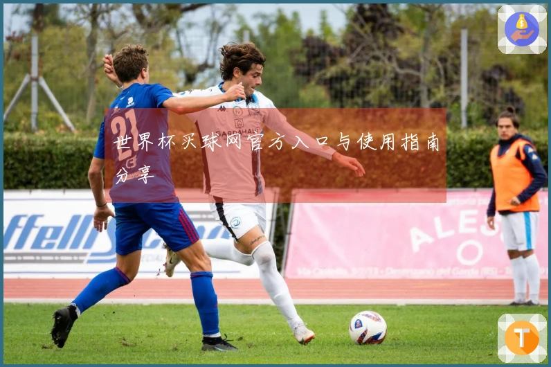 世界杯买球网官方入口与使用指南分享