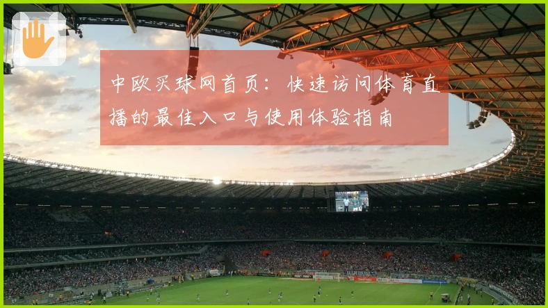 中欧买球网首页：快速访问体育直播的最佳入口与使用体验指南