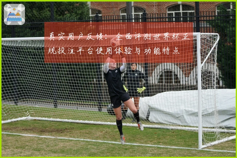 真实用户反馈：全面评测世界杯正规投注平台使用体验与功能特点