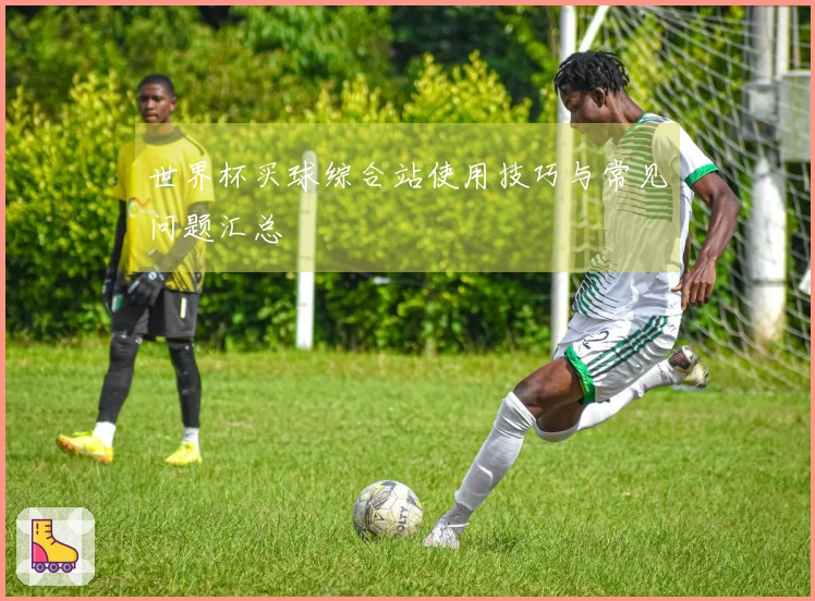 世界杯买球综合站使用技巧与常见问题汇总