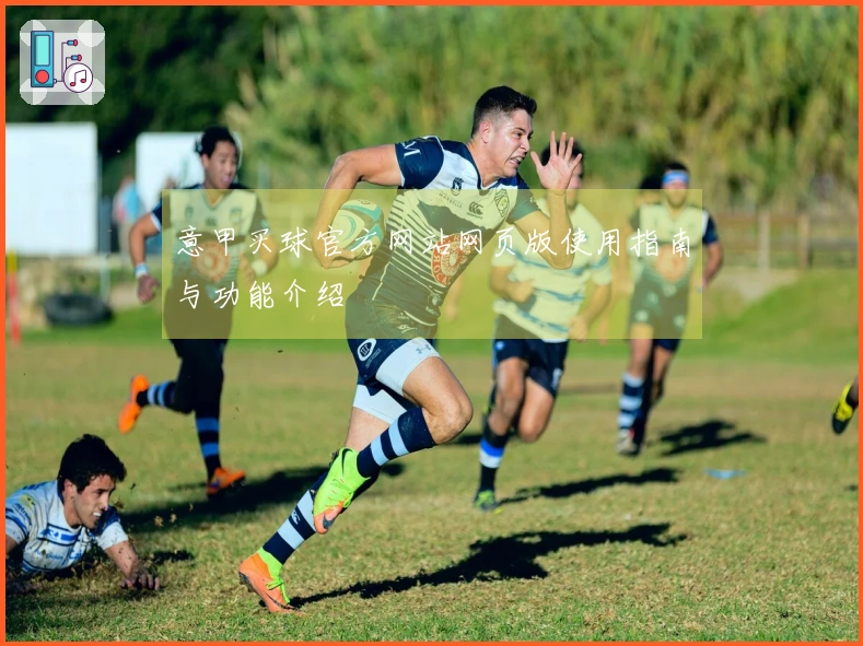 意甲买球官方网站网页版使用指南与功能介绍
